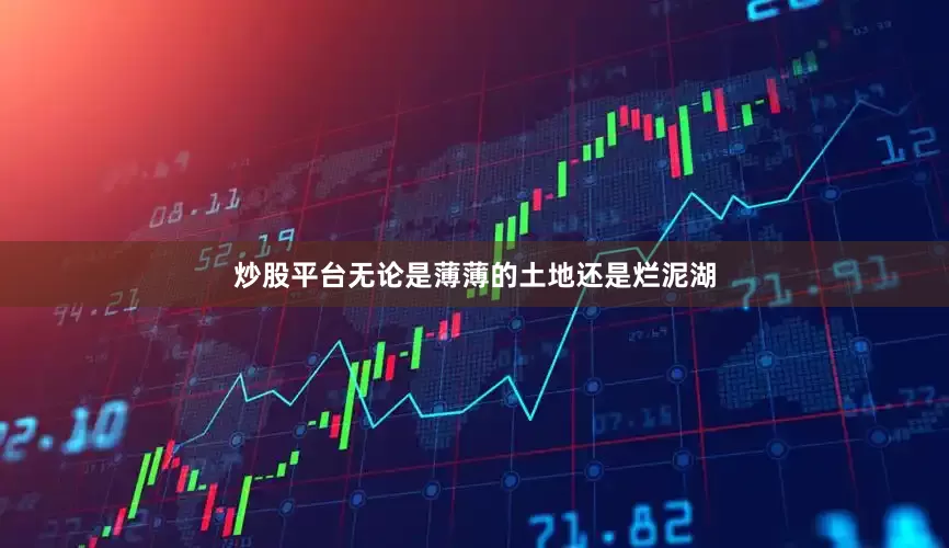 炒股平台无论是薄薄的土地还是烂泥湖