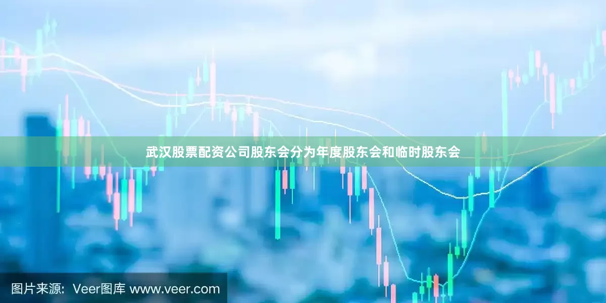 武汉股票配资公司股东会分为年度股东会和临时股东会
