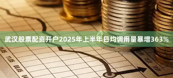武汉股票配资开户2025年上半年日均调用量暴增363%