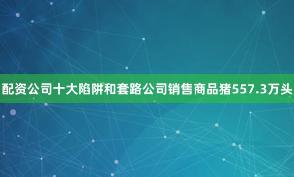 配资公司十大陷阱和套路公司销售商品猪557.3万头